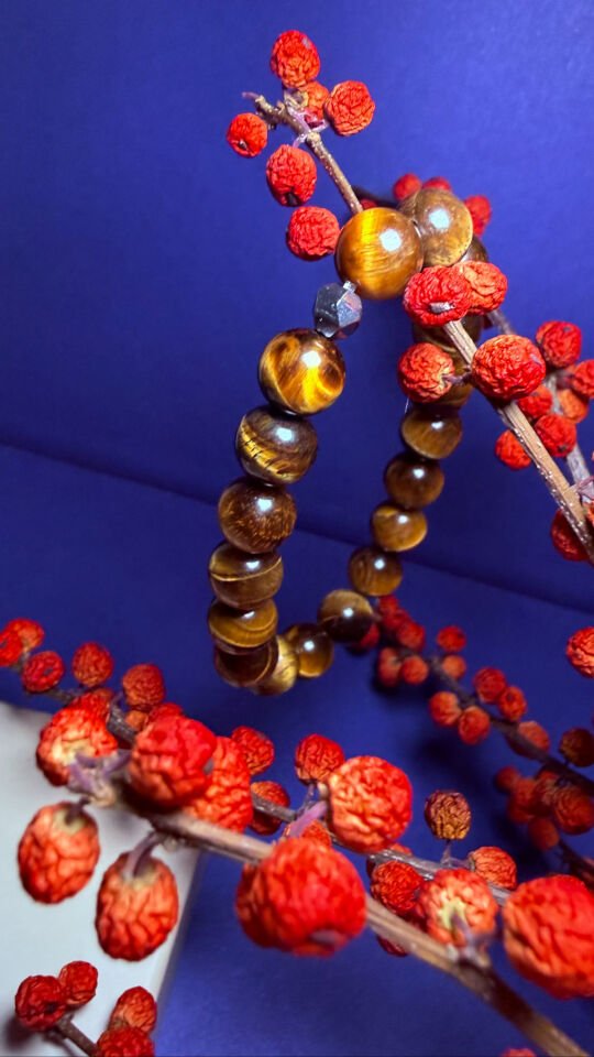 Regulus – Kaplan Gözü Erkek Bileklik