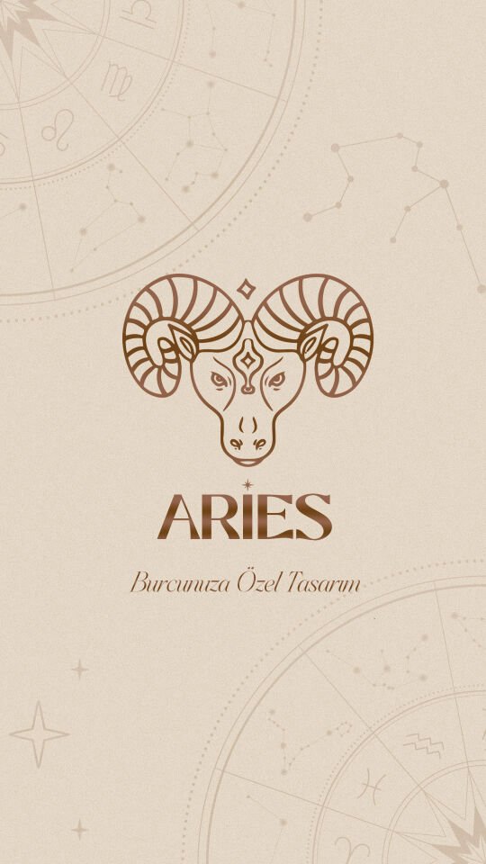 Koç – Aries Bileklik (Karnelyan & Güneş Taşı)