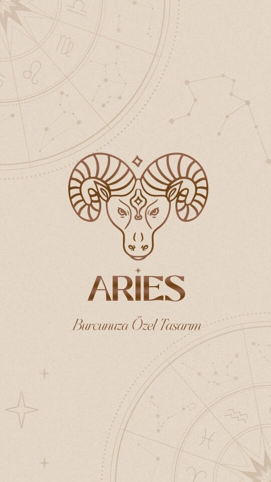 Koç – Aries Bileklik (Karnelyan & Güneş Taşı)