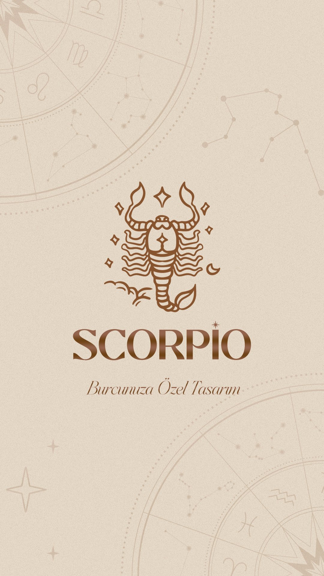 Akrep – Scorpio Bileklik (Labradorit & Merlinit)